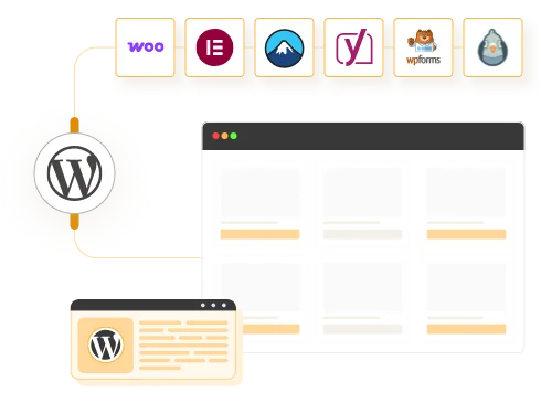 Premium Plugin Installation & Expert Support